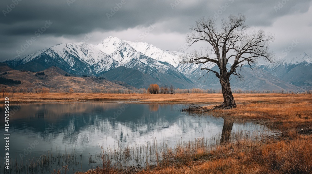 Fototapeta premium Old tree stands at the edge of a lake with snowcapped mountains in the distance under a cloudy sky in bavaria, germany