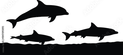 Black silhouettes of dolphin shark and fish swimming dolphin, shark, fish, silhouettes, black, white background, ocean, sea creatures, marine life, swimming, underwater, waves, sea floor, three, jumpi