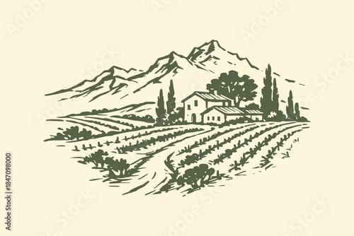 Vineyard landscape with farmhouse vintage sketch vector illustration