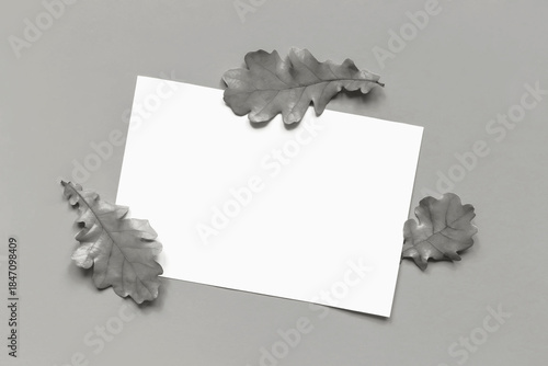 Mockup. White sheet of paper and fallen autumn oak leaves on Gray background. Demonstrating color of 2026 year, Cloud, Dancer