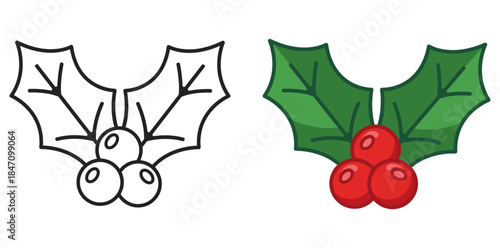 Christmas Holly Illustration A pair of vibrant illustrations showcasing the beauty of the holly, complete with its characteristic red berries and glossy green leaves.