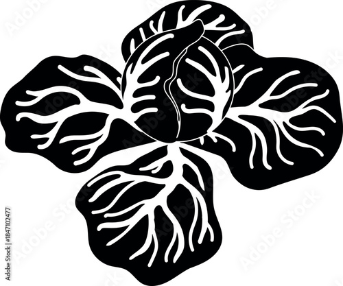 Black silhouette of cabbage isolated on white background