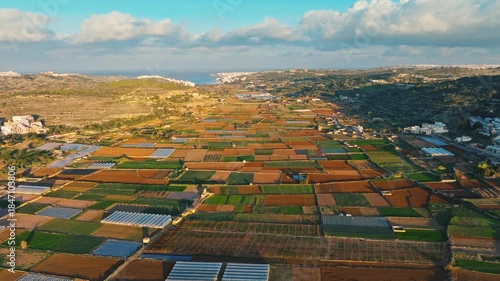 Drone aerial sunset view of countryside agriculture fields. Malta 