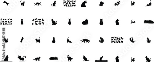 Comprehensive set of black silhouette representing cats in various poses and activities
