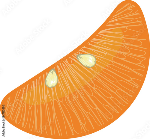 Orange slice on white background