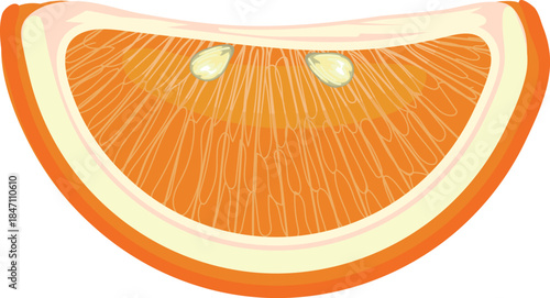Orange slice on white background