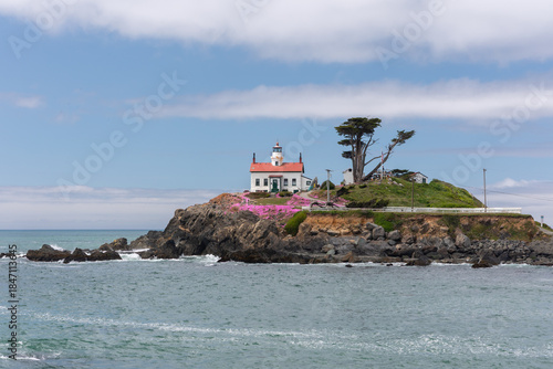 Crescent City lighthouse with pink flowers
