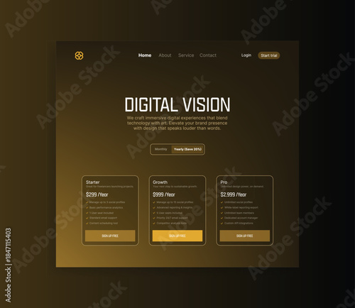 Digital Vision Website Interface: The image shows a sleek website interface, optimized for digital experiences and modern web applications.