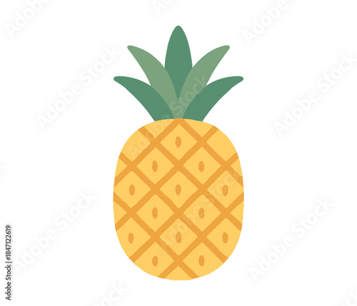Colorful flat design pineapple with geometric pattern on white background
