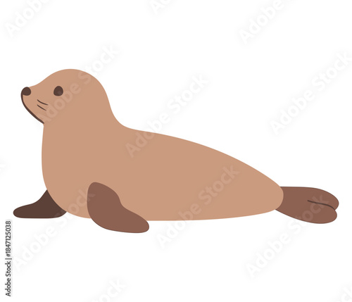 Cute flat seal with brown flippers on white background