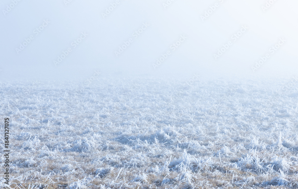 Obraz premium A field of dry grass covered in hoarfrost or rime ice and fog in the background