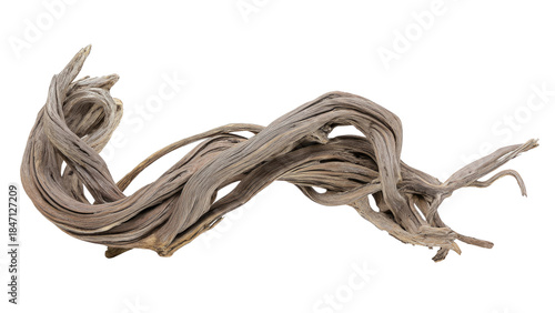 Driftwood Branch on Transparent Background