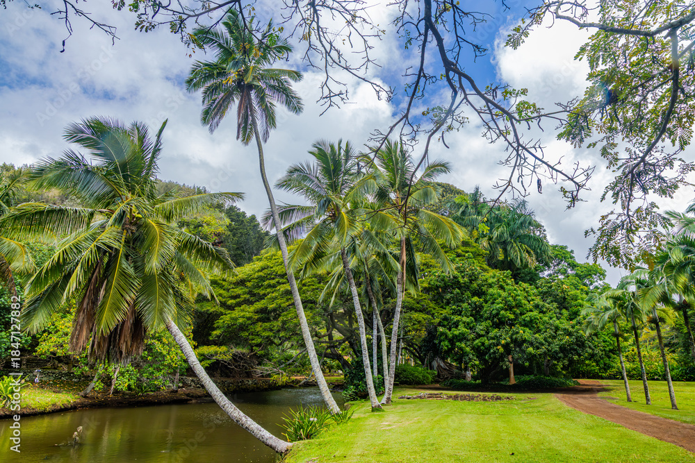 Obraz premium Hawaii, Kuai