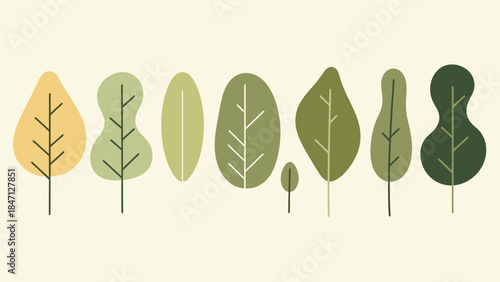 Minimal abstract leaf tree set vector illustration with modern flat shapes natural earth tones botanical forest elements for wall art prints branding and digital design