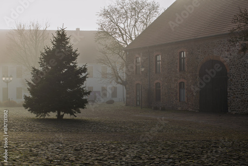 Solitary Christmas Tree in Misty Historic Courtyard in Wolmirstedt