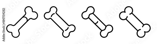 A collection of four minimalist black outline bone icons arranged on a white background