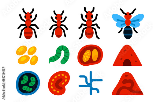 Ant Colony Icons. Flat vector icons of ant colony social structure: queen ant, worker ant, soldier ant, drone ant, egg cluster,