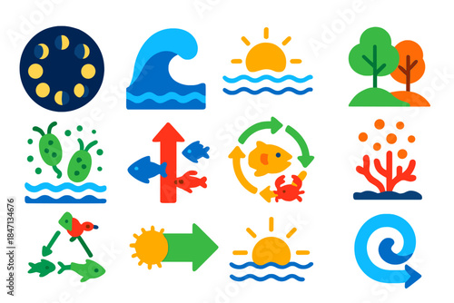 Vibrant Marine Icons. Flat vector icons of Marine Cycles: lunar cycle, tidal wave, sun path, seasonal change, plankton bloom,