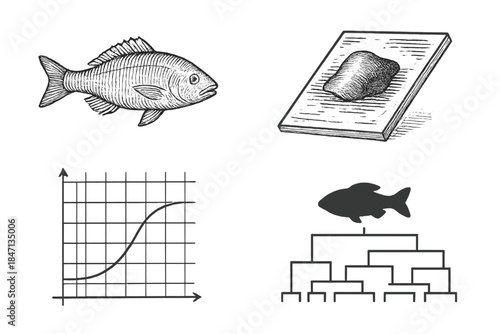 Scientific Line Icons. Line style icons of scientific illustrations: fish engraving, etched plate, diagram, taxonomic chart; ink