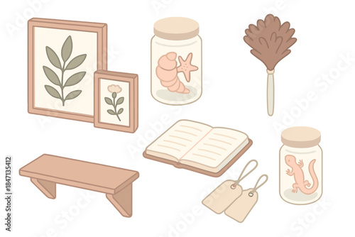 Botanical Museum Collection. Isometric vector illustration set of Natural History Archive: framed botanical prints, glass jar