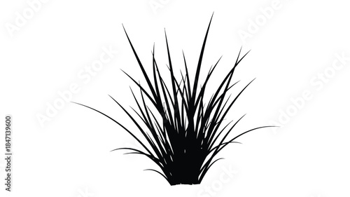 A simple black and white illustration depicting a cluster of grass blades on a white background