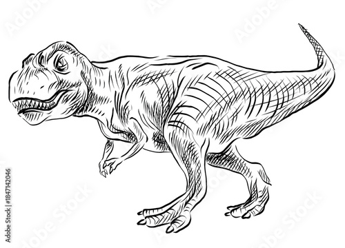 Sketch-style illustration of a Tyrannosaurus Rex.
