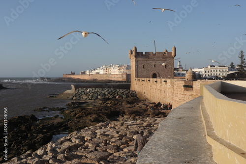 Seaside Fortress and Seagulls in Essaouira, Morocco