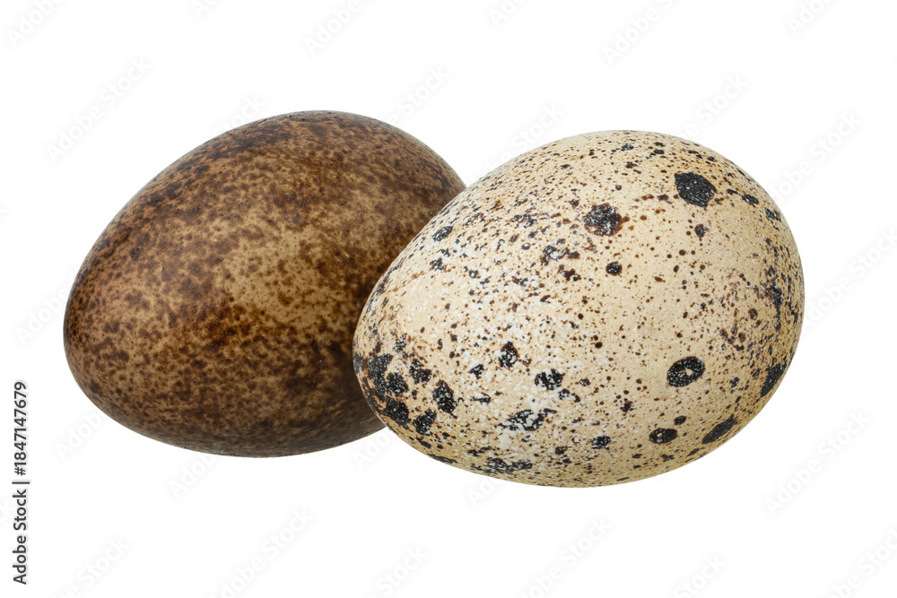 Fototapeta premium Quail eggs isolated on white background