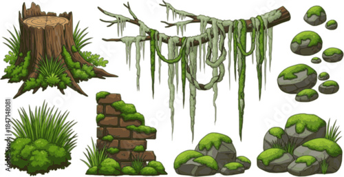 Green moss and lichen set. Swamp plant and liana hanging on forest tree branch, grass and oakmoss growth on brown stump and brick wall, mossy rocks and stones collection cartoon 
