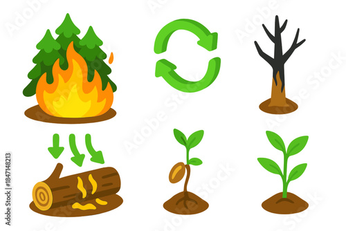 Natural Fire Ecosystem Cycle. Isometric vector illustration set Role of Natural Fires: burning pine forest, nutrient recycling