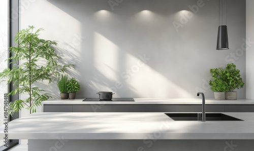Minimalist kitchen interior with a sleek countertop and indoor plants, soft natural light flooding the clean modern space