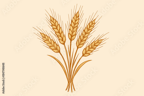 Golden Wheat Stalks. Delicate bundle of wheat stalks on a soft neutral background, warm golden vector illustration tones, rustic
