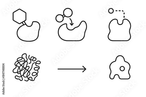 Metabolic Enzyme Icons. Line style icons of Metabolic Enzymes: hexokinase icon, dehydrogenase enzyme, coenzyme interaction, enzyme