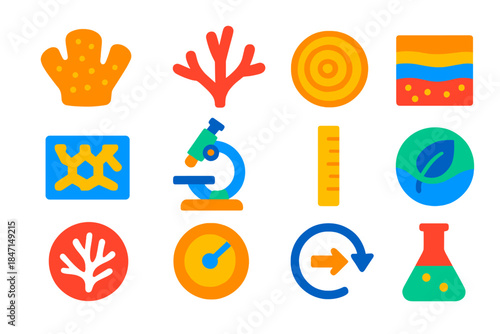 Coral Growth Icons. Flat vector icons of coral sclerochronology: coral skeleton, branching pattern, growth rings, layer