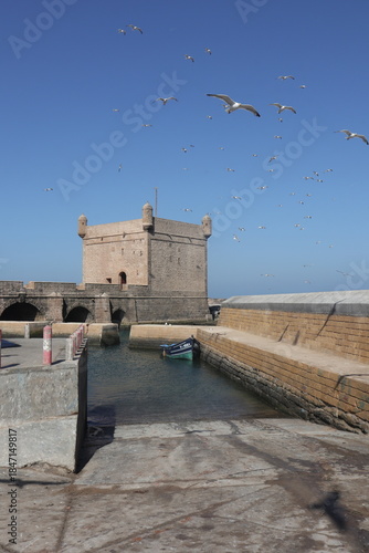 Seaside Fortress and Seagulls in Essaouira, Morocco