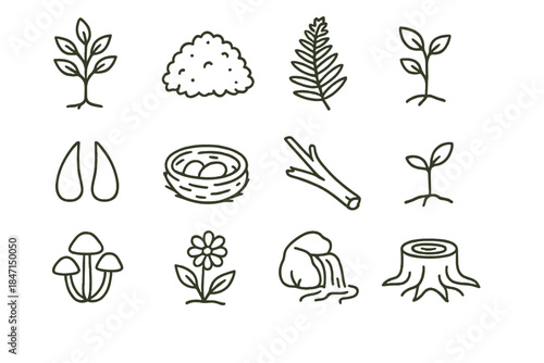 Natural Regeneration Icons. Line style icons of natural regeneration: young tree, moss, fern, sapling; deer track, bird nest,