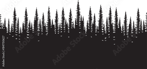 Slender Spruce Pine Picket Fence Closely Packed Silhouettes isolated on white background