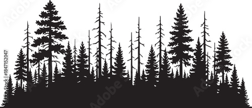 Healthy and Dead Pine Trees Snag Horizon Silhouettes isolated on white background