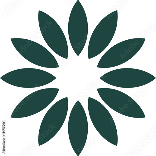 Dark green abstract flower petals radial pattern background