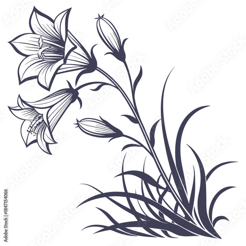 Alpine Gentian Flower Vector Illustration | Blue Alpine Wildflower Botanical Artwork | Mountain Flora Design