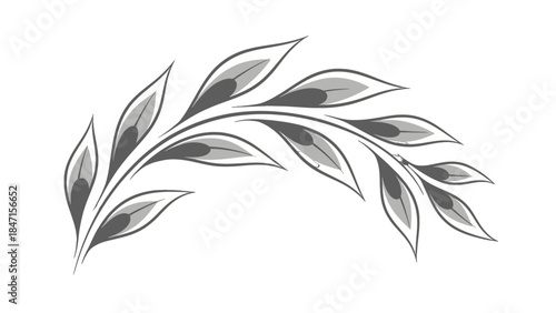 Elegant Monochrome Botanical Branch with Grey Stylized Leaves, isolated white background.