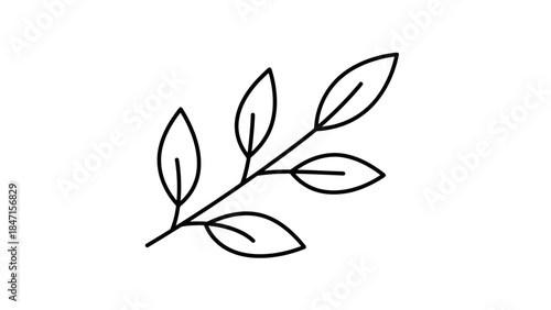 Simple Leafy Branch: An elegant line drawing of a leafy branch, showcasing nature's delicate beauty and minimalist design.