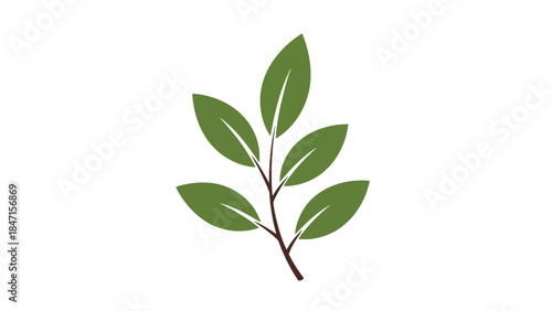 Leaf Branch Symbol: A minimalistic, vibrant, and artistic illustration of a leaf branch, celebrating nature's elegance and the symbol of life, purity, and environmental conservation.