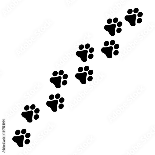 paws print icon. Footprints on a white background showing a path of animal paws for web, app, t-shirt print