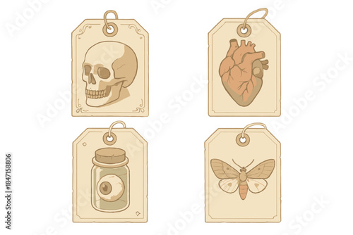 Pastel Anatomical Icons. Isometric vector illustration set Macabre catalog study: preserved tag icons, subtle anatomical hints,