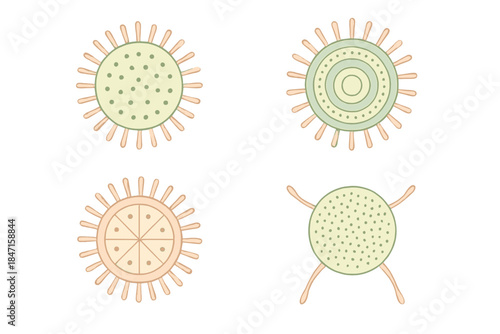 Biological Spore Mandalas. Isometric vector illustration set Biological spore mandalas: circular cell formations, radial