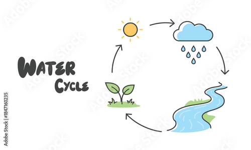 Water cycle process illustration with sun, cloud, river, and plant