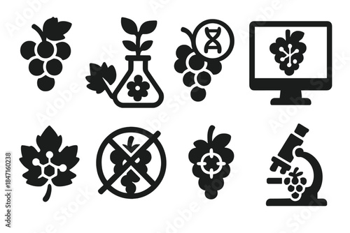 Genetic Grape Innovations. Solid style icons of experimental grape manipulation: hybrid grape icon, lab-grown vine, DNA-edited