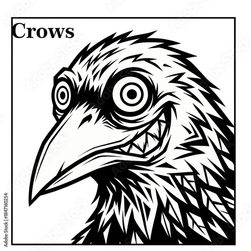 crows head isolated on white