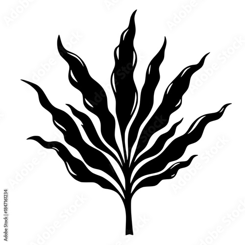 Abstract black kelp illustration on a transparent background